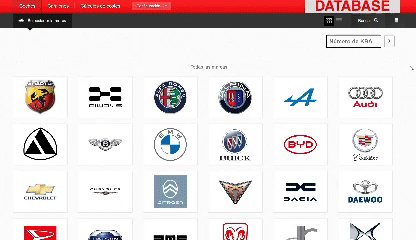 Professional Repair Database for All Car Brands