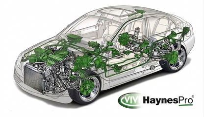 Haynes Pro Online- Professional Account for 1 year