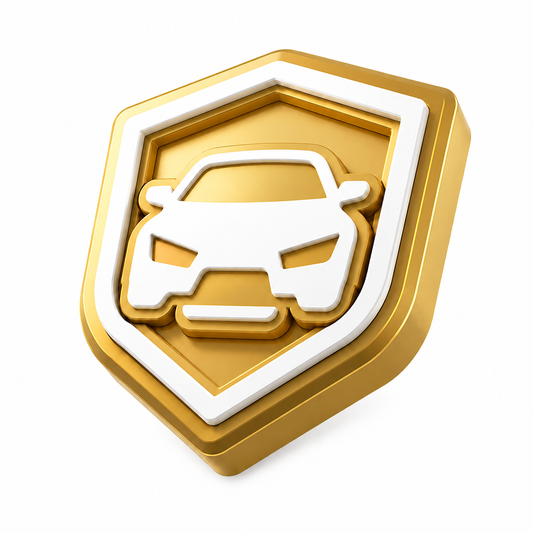 1 Year Premium Access