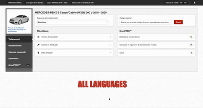 Haynes Pro Online- Professional Account for 1 year
