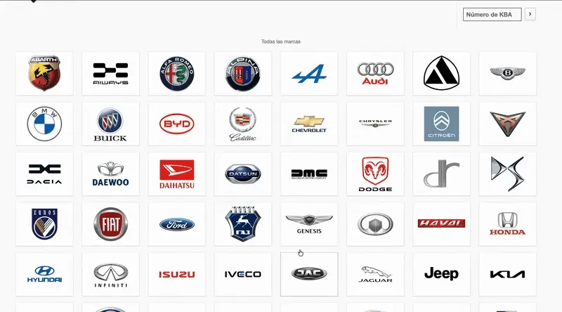 Professional Repair Software for All Cars
