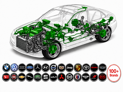 Professional Repair Database for All Car Brands
